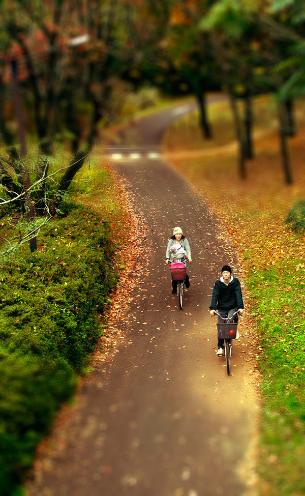 <p class="Normal"> Đôi vợ chồng đạp xe trong công viên, trên con đường đầy lá rơi.</p>