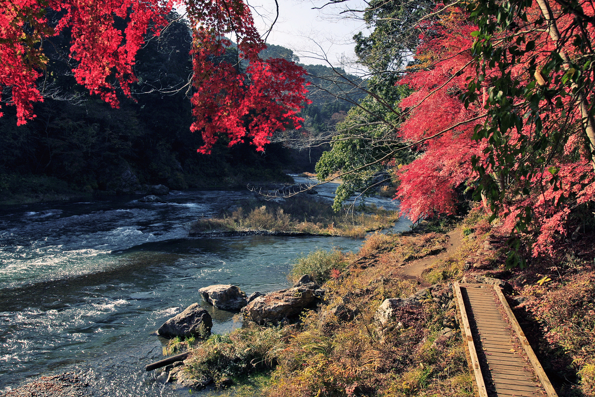 <p class="Normal"> Mùa thu cũng là mùa hiking. V<span>ùng hiking nổi tiếng của Nhật Bản - Mitake-keikoku.</span></p>