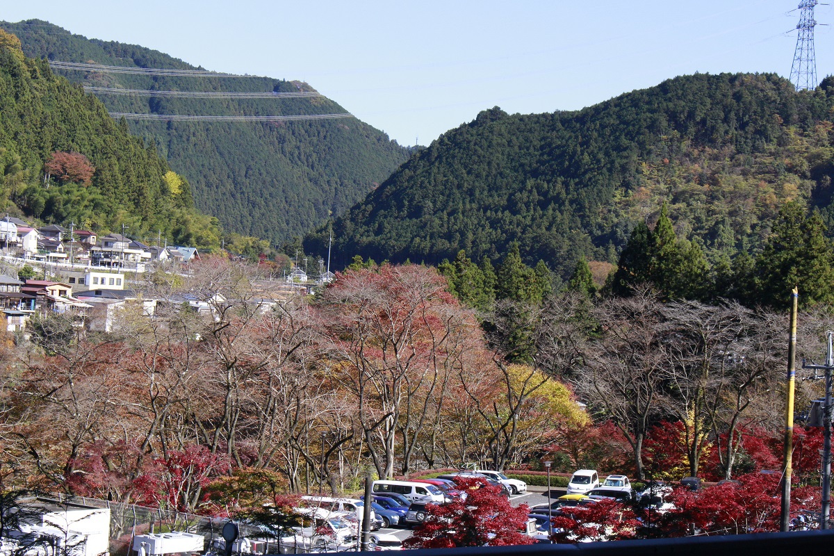 <p class="Normal" style="text-align:justify;"> Vào mùa thu, Nhật Bản quyến rũ với rừng cây đỏ bao quanh những con suối và cánh đồng bạt ngàn dưới chân những ngọn núi.</p>