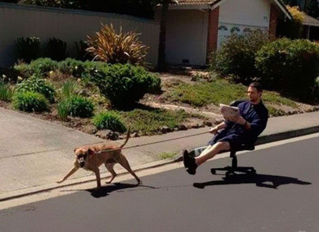 <p> Vừa cho em chó chạy thể dục vừa có đủ không gian, thời gian để đọc sách. </p>