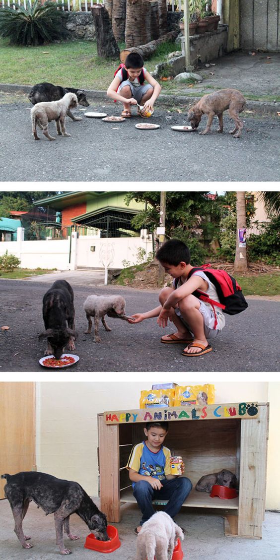 <p> Cậu bé Ken 9 tuổi từ Philippines đã tạo ra một nơi trú ẩn cho động vật trong gara nhà mình để giúp đỡ chó và mèo đi lạc.</p>