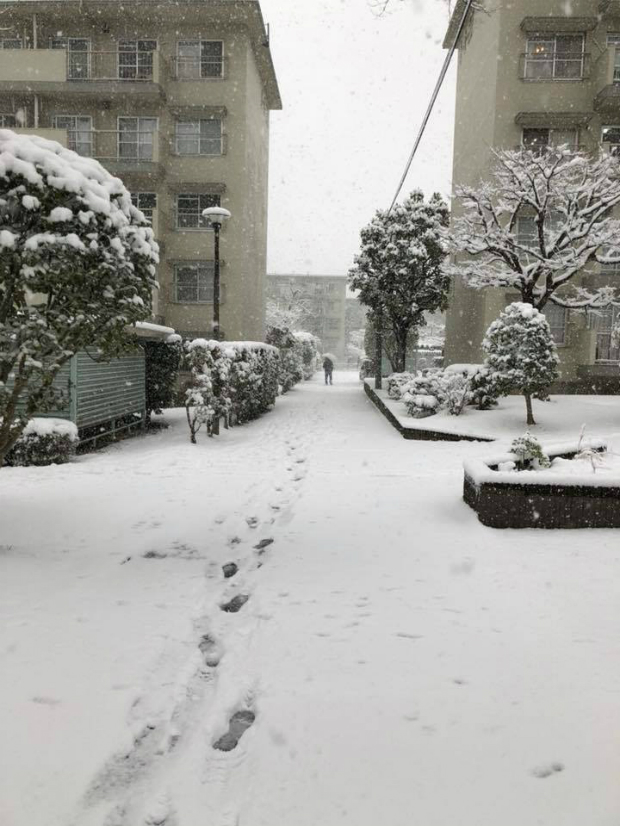 Hình ảnh tuyết rơi tại khu nhà ở của anh Ngô Tuấn Kiệp, FPT Japan chia sẻ.