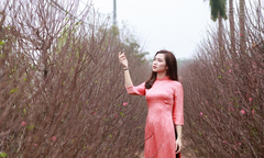 'Nàng thơ' giữa vườn xuân