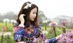 Nữ sinh FPT diện áo dài mùa xuân xuống phố