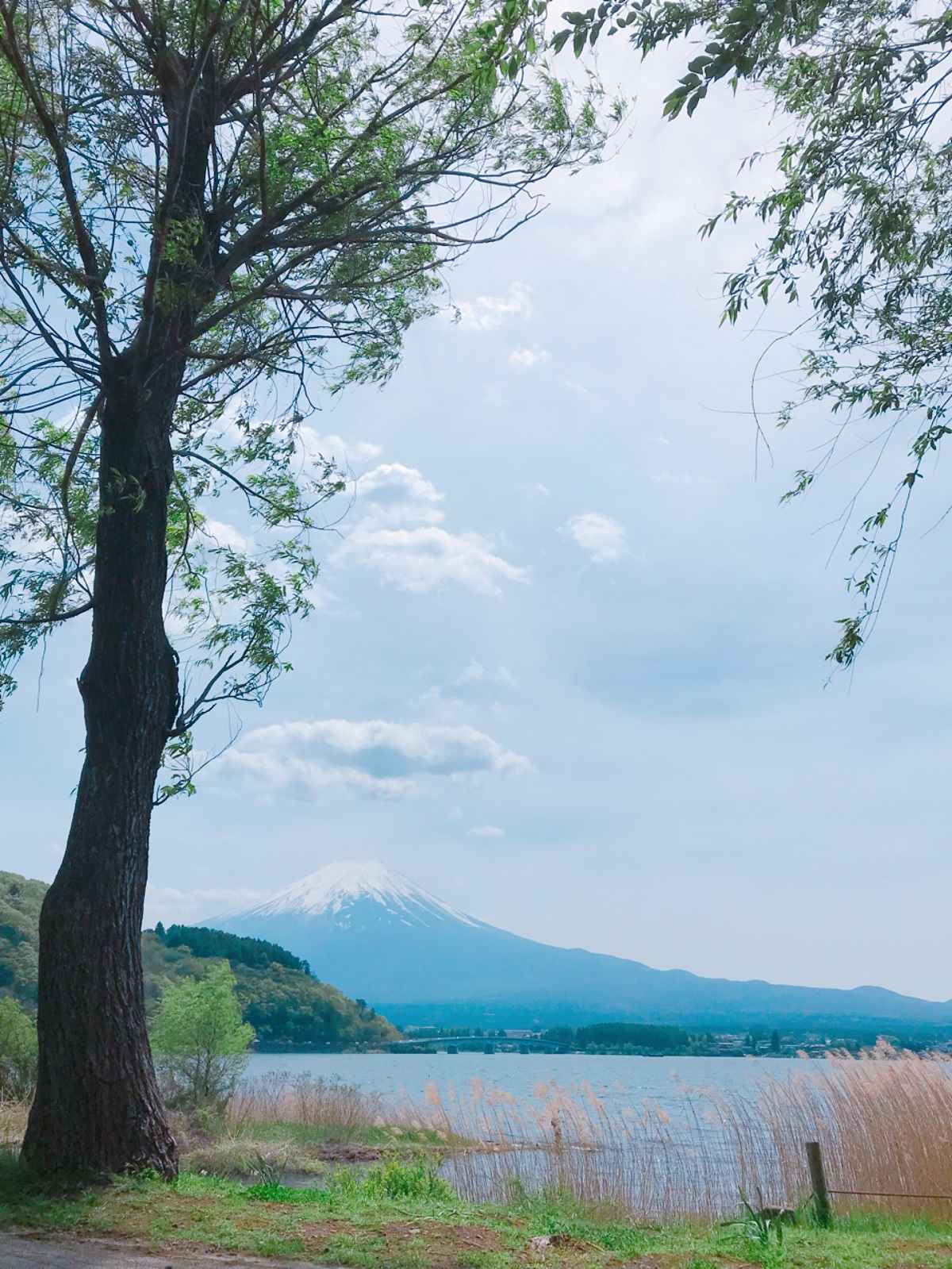 <p class="Normal" style="text-align:justify;"> Bức ảnh nhìn từ mặt hồ trong xanh, phẳng lặng giúp <span>núi Phú Sĩ trở nên lung linh, mờ ảo.</span></p>