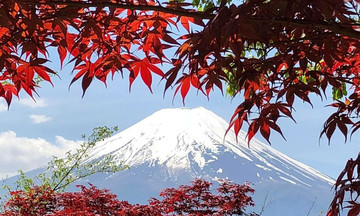 Vẻ đẹp núi Phú Sĩ qua ống kính dân onsite
