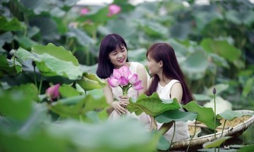 Trường đại học có nhiều hoa sen nhất Hà Nội