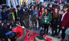 31/12/2017 – chuyến đi đặc biệt đêm giao thừa