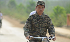 Sếp quả lâu già
