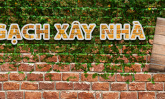 Lần đầu gom gạch ở Fis