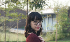 Đoá trà mi trong vườn thượng uyển