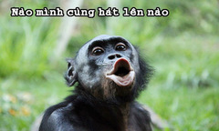 Hát hò khổ hay sướng