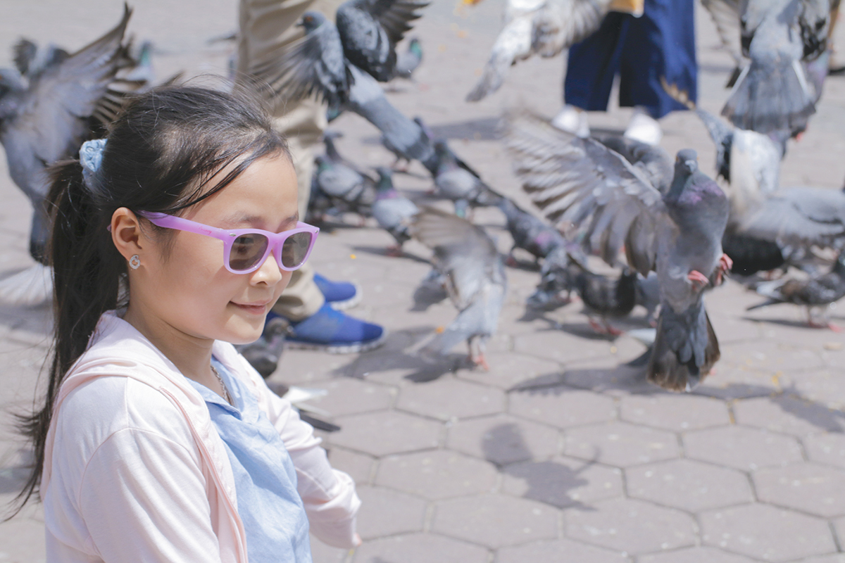 <p> Quỳnh Trâm vui đùa cùng chim bồ câu trước động Batu, Malaysia. </p>