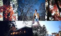 Dân onsite trải nghiệm mùa lá đỏ ở Nhật Bản