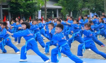 Tổ chức giáo dục FPT lập kỷ lục đồng diễn võ thuật lớn nhất Việt Nam