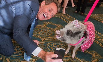 Người FUNiX selfie cùng lợn, nhận quà đầu xuân