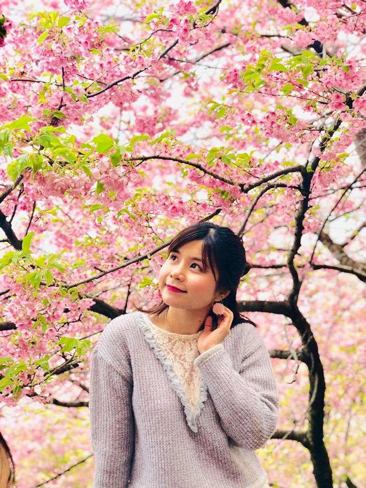 <div style="text-align:justify;"> Tại công viên Nishihirahata ở thị trấn Matsuda, tỉnh Kanagawa, hoa anh đào nở rộ vào mùa xuân khiến du khách ngây ngất. </div>