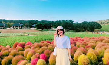 Nữ nhân viên FPT Japan mê khám phá nước Nhật