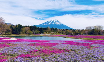 Khám phá điểm du lịch 'đẹp quên lối về' tại Nhật Bản