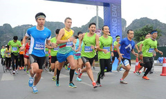 ‘Cáo’ Bình Định sẵn sàng hỗ trợ VnExpress Marathon