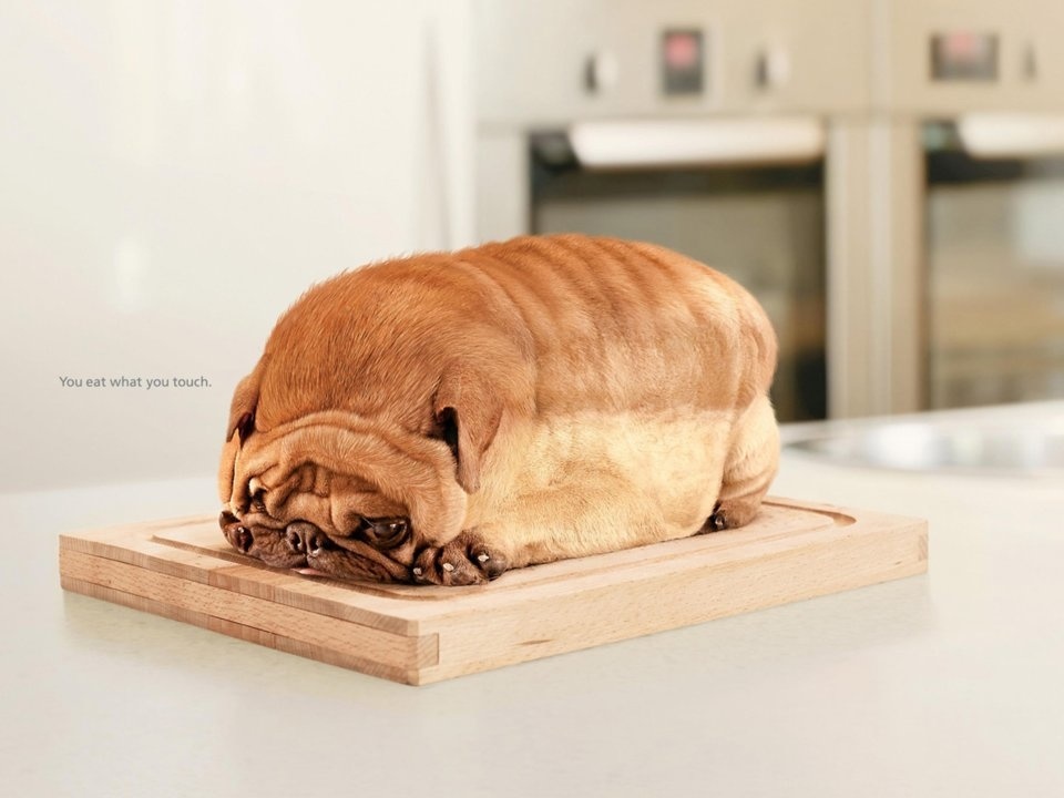 <p class="Normal"> Quảng cáo Life Buoy biến một chú chó thành bánh mỳ để nhấn mạnh tầm quan trọng của việc sử dụng xà phòng tắm: “Bạn ăn thứ mà bạn chạm vào”.</p>