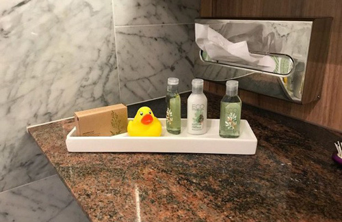 <p> Chú vịt vàng đặt trên bàn vệ sinh và khách có thể thả vào bồn tắm để tìm về tuổi thơ.</p>