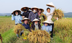 FUNiX 'vác thóc đầy kho' mừng sinh nhật 4 tuổi