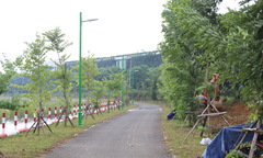 Đường chạy Run For Green mở rộng sẵn sàng trước giờ xuất phát