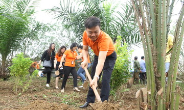 FPT Software trồng 3.500 cây xanh cho Hà Nội