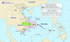 Bão Matmo sắp đổ bộ, nhiều CBNV FPT miền Trung được về nhà sớm