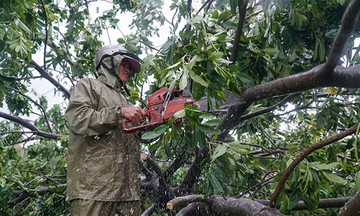 FPT Telecom dồn lực khắc phục sau bão Matmo