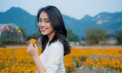 Những điểm du xuân ba miền dịp Tết 2020