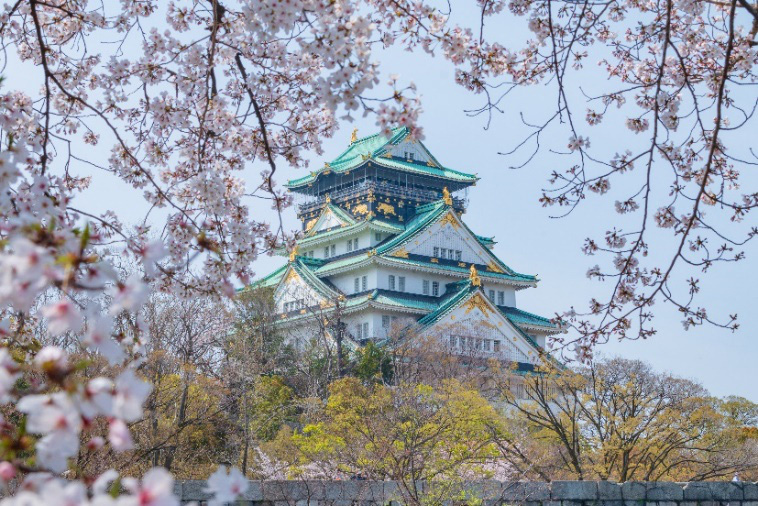 <p class="Normal"> Thành Osaka Nhật Bản - Những đợt hoa trong sáng tinh khiết cuối cùng của mùa xuân. Ảnh: Vũ Văn Lâm</p>