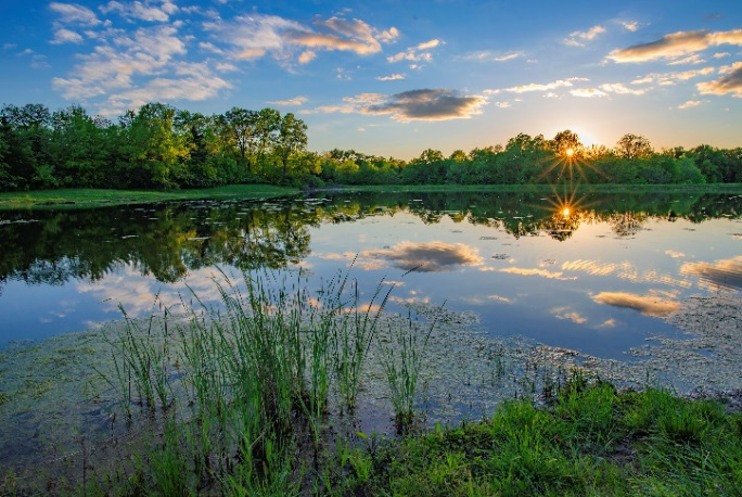 <p class="Normal"> Hồ nước thuộc khu bảo tồn Weldon Spring, Missouri Mỹ, đẹp như một bức họa của Monet ngoài đời thực. Ảnh: Huỳnh Vũ Đông Nguyên</p>