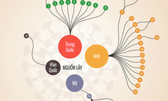 Mối liên hệ giữa các ca Covid-19 ở Việt Nam