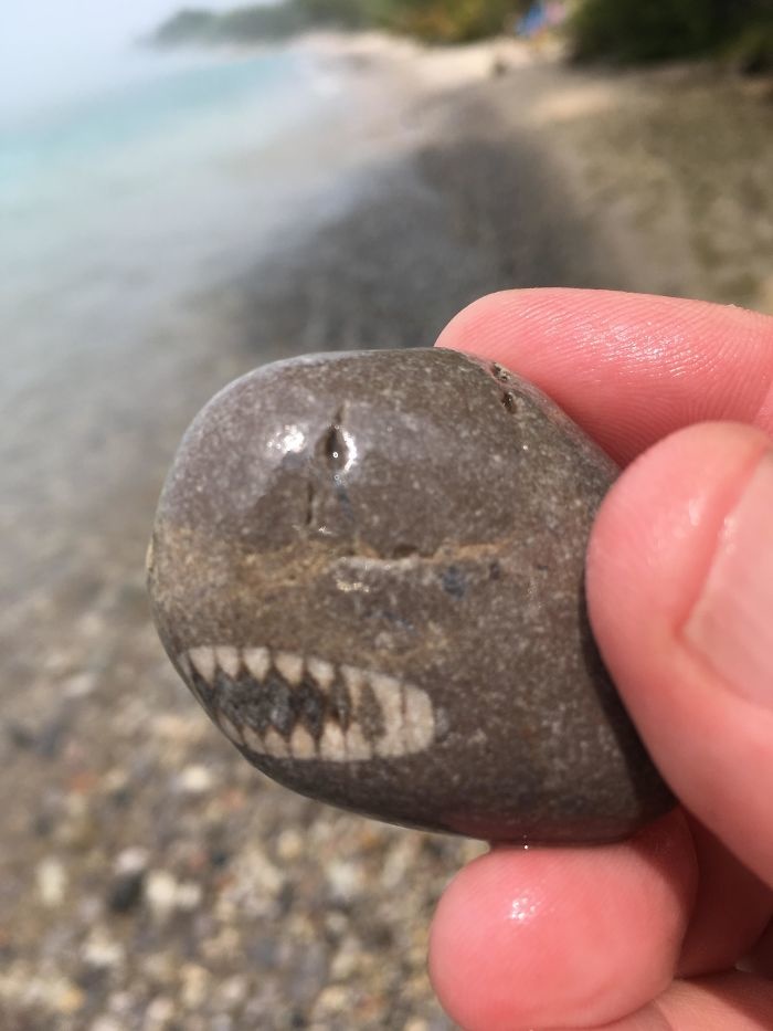 <p class="Normal"> Tìm thấy một hòn đá trông giống như một con cá mập.</p>