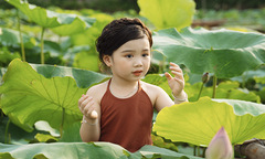 FPT Small toả nắng bên hoa sen