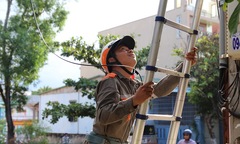 Nắng bỏ cơm, ‘Cáo’ Quảng Trị uống 6 lít nước mỗi ngày