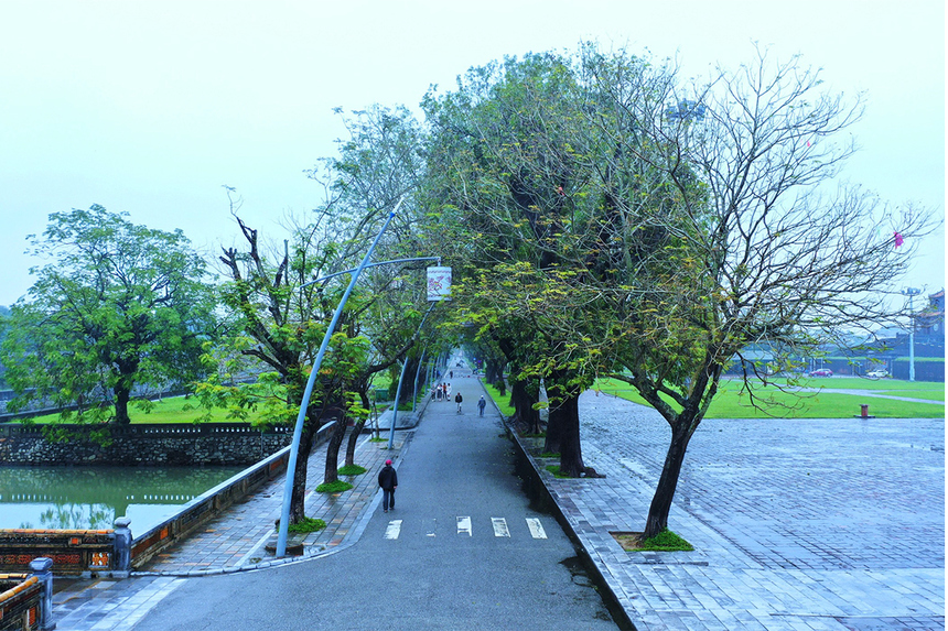 <p class="Normal" style="text-align:justify;"> Đường 23/8 nằm trước Đại nội Huế với nhiều cây xà cừ cổ thụ hứa hẹn đem lại trải nghiệm khó quên cho các vận động viên tham gia cự ly 10 km.</p>