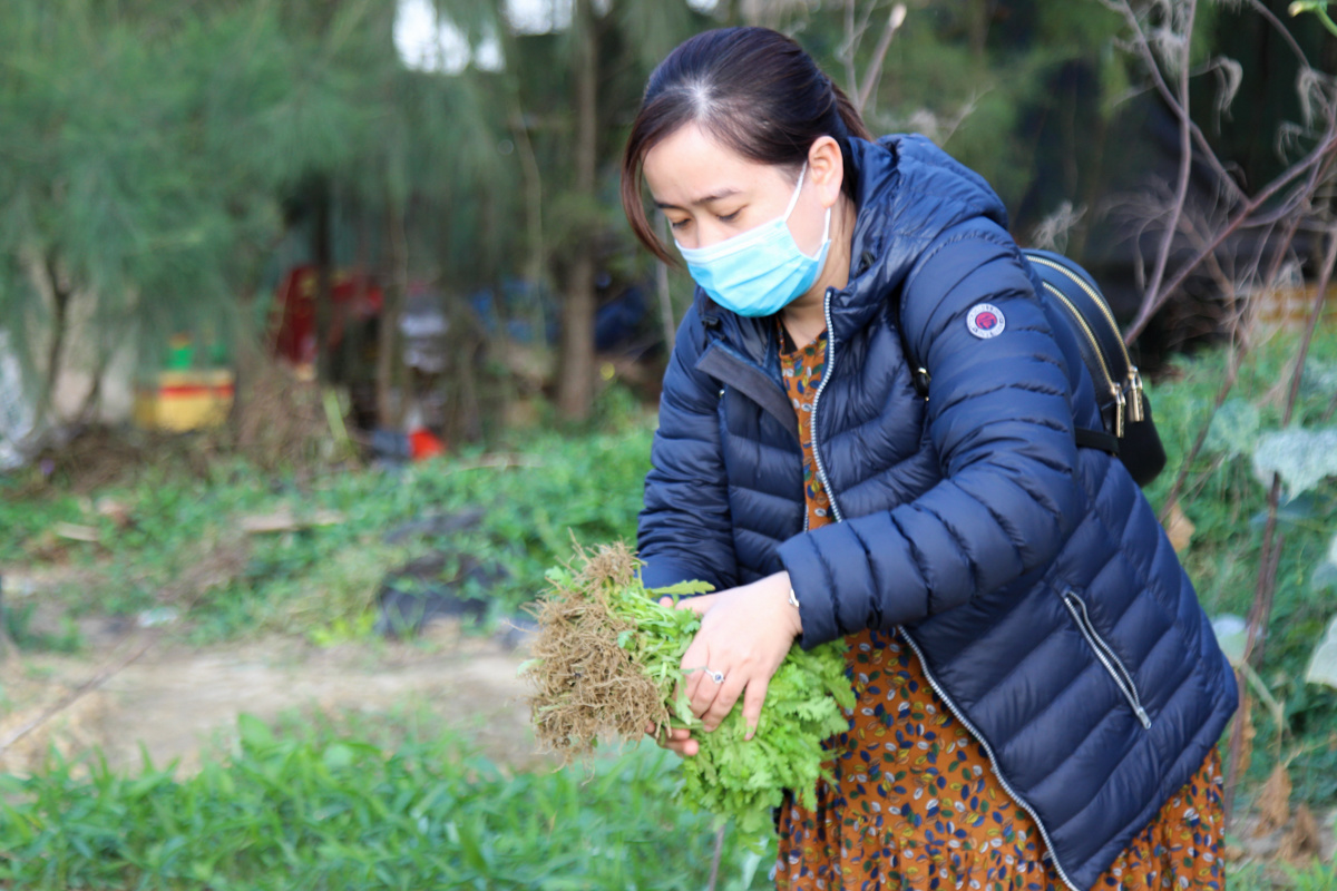 <p> Chị Võ Thị Cẩm Giang, nhân viên FPT Software, cho biết thích nhất là việc được hái rau sạch. Dù đáng giá không nhiều nhưng mang lại cho chị cảm giác an tâm về chất lượng, tươi, xanh và đảm bảo sức khoẻ.</p>