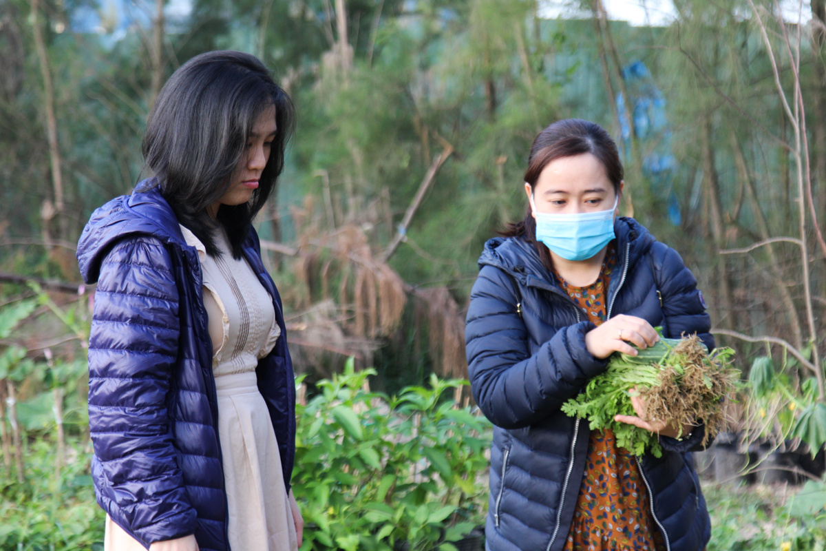 <p> Chị Nguyễn Phương Hà, nhân viên FPT Software Đà Nẵng, rất bất ngờ khi biết tại F-Complex có một vườn rau xanh, đẹp như vậy. "Đúng là mình đi qua khu vực này suốt nhưng không để ý. Nhìn vườn rau thích thật", chị nói.</p>