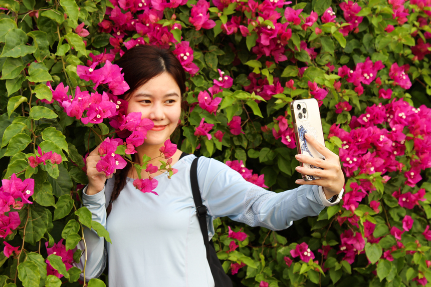 <p> Được các đồng nghiệp rủ rê liên tục, chị Hồ Cẩm Hằng cũng quyết định tham gia trải nghiệm, thử sức bản thân ở cự ly 5km. Chị vừa chạy vừa tranh thủ chụp ảnh để "khoe" trên trang cá nhân. "Ở Sơn Trà, bạn có 1001 nơi để chụp ảnh siêu đẹp", Hằng nói.</p>