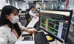 Cổ phiếu họ F rủ nhau tăng trong ngày HoSE vận hành hệ thống do Tập đoàn cung cấp