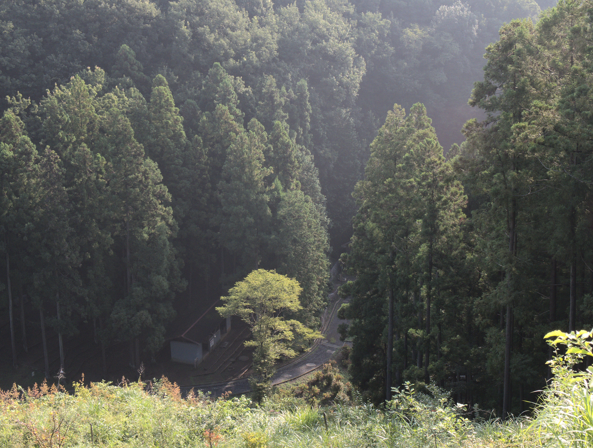 <p class="Normal"> Khung cảnh anh Nguyễn Trung Hiền chụp từ trên đường trail quanh dãy núi ở Ome, Tokyo, Nhật Bản.</p> <p class="Normal"> Chia sẻ về bức ảnh này, anh cho biết: <span>"Ome là nơi đầu tiên mình đến và ở trong thời gian 3 tháng ở Nhật Bản. </span><span>Ome được bao quanh bởi núi, đường xá có nhiều chỗ khúc khuỷu, dốc lên dốc xuống làm cho mình có cảm giác như ở quê nhà Đà Lạt, ngoài ra khí hậu ở Ome lúc mình sang rất giống với Đà Lạt. Vì thế, mình hay gọi Ome là "quê" của mình ở Nhật Bản. Mỗi khi có dịp sang Nhật, mình đều sắp xếp về thăm 'quê'.</span></p> <p class="Normal"> Mình vẫn nhớ lần đầu dạo trên đường trail này, đến khúc đứng từ trên đồi nhìn xuống cảnh này, bỗng mình nghe có tiếng harmonica du dương giữa núi rừng. Men theo âm thanh harmonica thì đến được ngôi nhà nhỏ trong ảnh, có vẻ như là một trạm nghỉ chân, hay một trạm gác bảo vệ rừng. Một anh bạn trẻ đang ngồi trong ngôi nhà say sưa luyện thổi harmonica.</p> <p class="Normal"> Đến giờ, mỗi lần xem lại bức ảnh này, bên tai mình lại vang lên tiếng harmonica du dương...".</p>