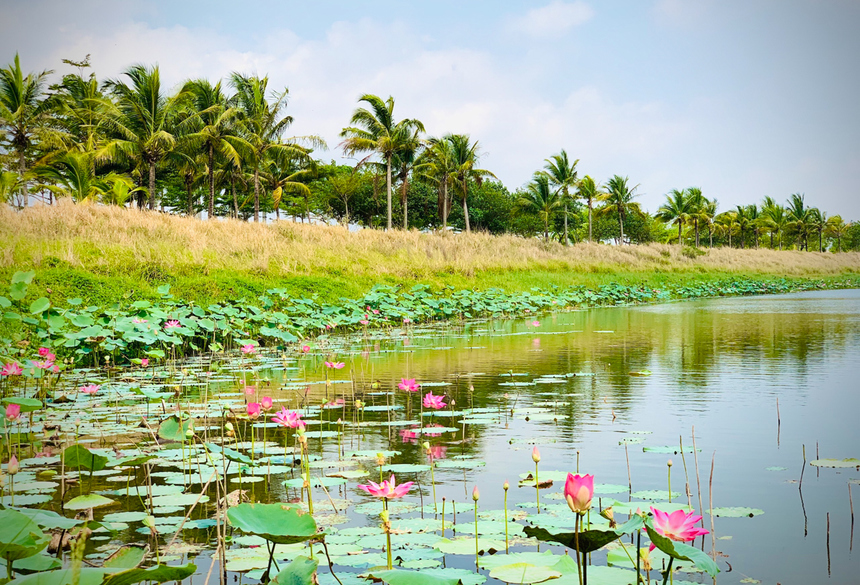 <p> Ngoài lí do nơi đây có đầy đủ hệ thống các cấp học, FPT lựa chọn Khu đô thị công nghệ để xây trường nội trú còn bởi mong muốn các em được học tập, lớn lên trong một môi trường xanh, sạch, đẹp, trong sự sẻ chia, lan toả yêu thương của FPT và cộng đồng. </p>