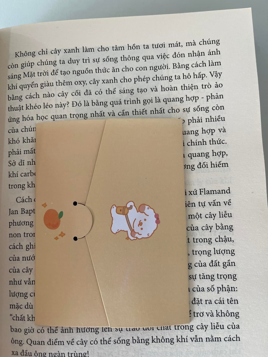 <p class="Normal"> "Các em rất vui. Thấy sách là thấy chữ, thấy tương lai. Các em sẽ phân loại và xếp vào thư viện" - anh Hoàng Quốc Quyền, Giám đốc dự án Trường Hy Vọng, bày tỏ.</p>