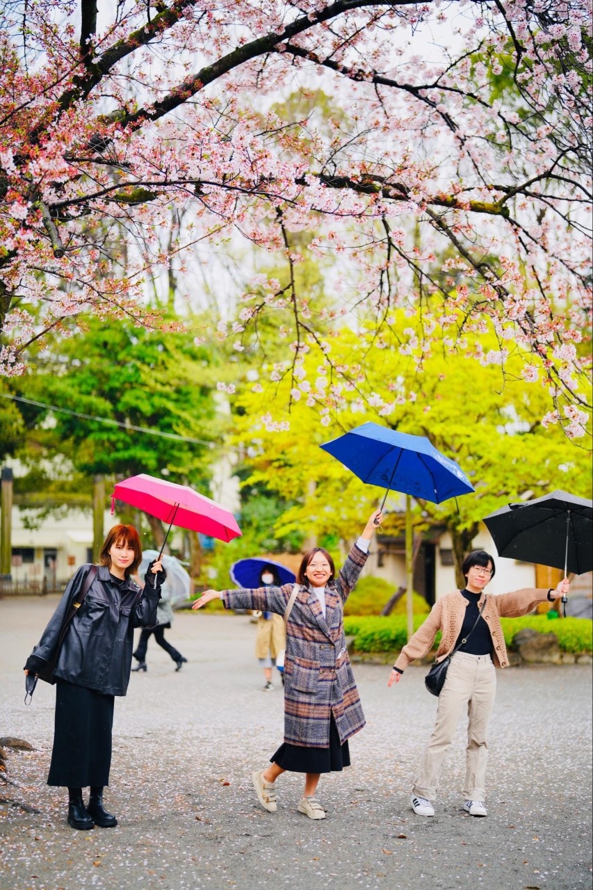 <p class="Normal"> Đây là tập quán thưởng thức vẻ đẹp của hoa anh đào, chúc mừng nhau và cảm nhận không khí mùa xuân của người Nhật. Vào những ngày lễ hội này, mọi người thường tụ tập dưới những gốc cây anh đào nở hoa, vừa ngắm hoa vừa uống rượu.</p>