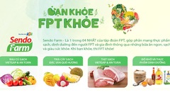 Hướng dẫn tham gia 'Bạn khoẻ - FPT khoẻ'
