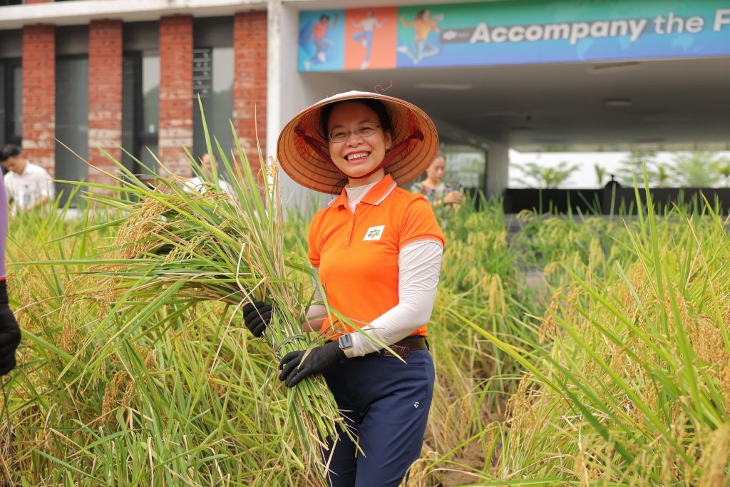 <p> Tại đây, Chủ tịch FPT Software Chu Thị Thanh Hà cũng hoá thân làm nông dân, đầu đội nón lá để trải nghiệm gặt lúa.</p>