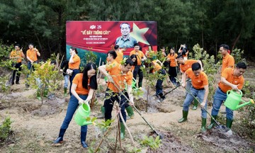 FPT trồng vườn mai vàng tri ân tại nơi an nghỉ của Đại tướng Võ Nguyên Giáp